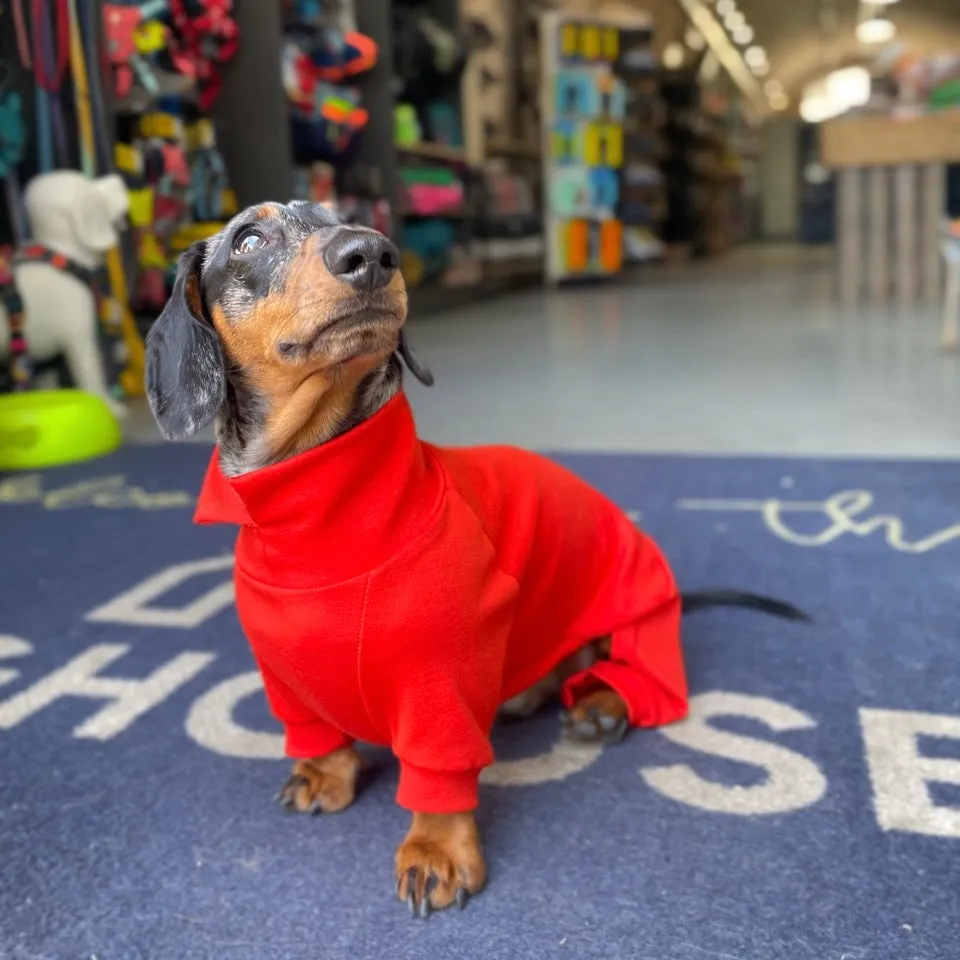 Dachshund Summer Suits with 4 Legs