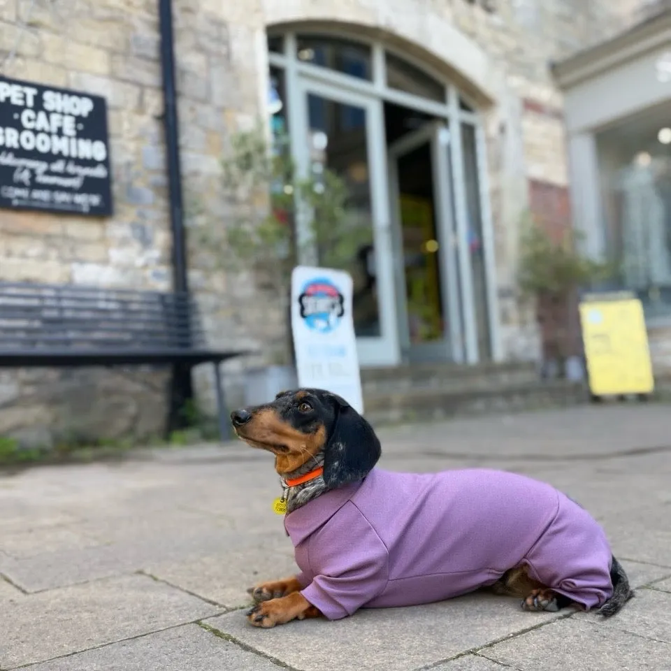 Dachshund Summer Suits with 4 Legs