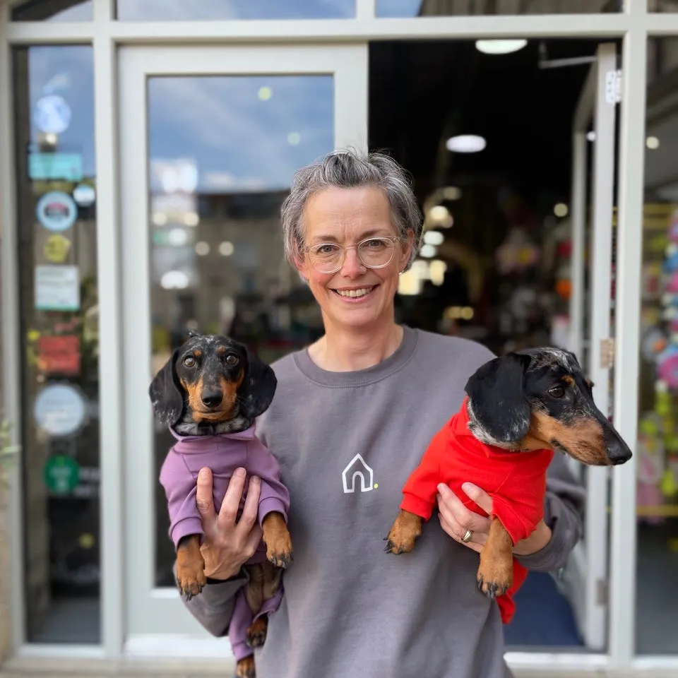 Dachshund Summer Suits with 4 Legs