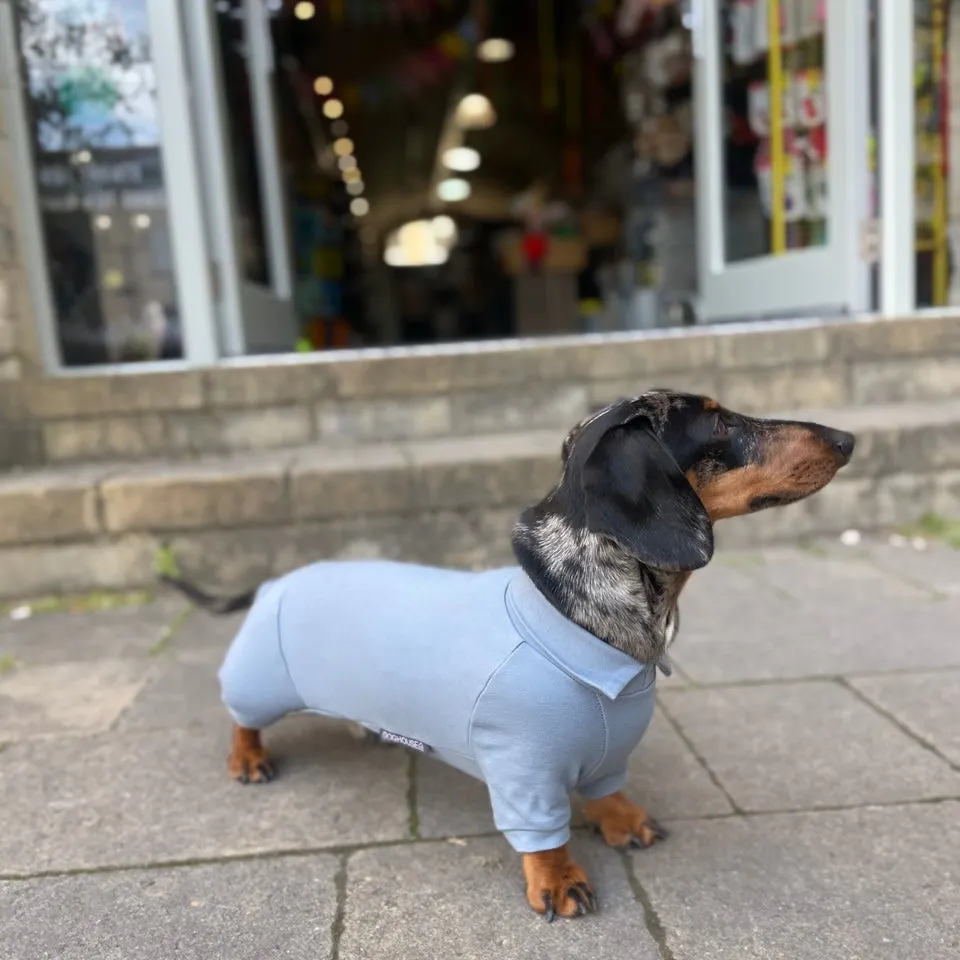 Dachshund Summer Suits with 4 Legs