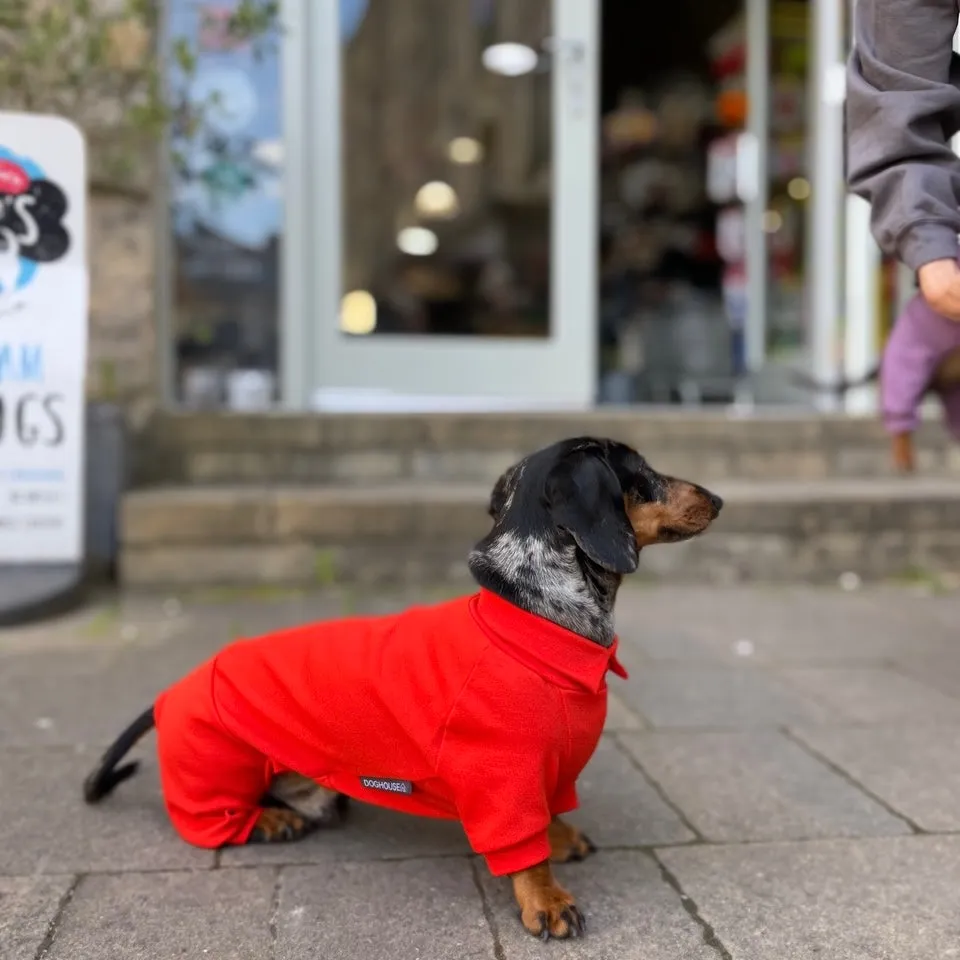 Dachshund Summer Suits with 4 Legs