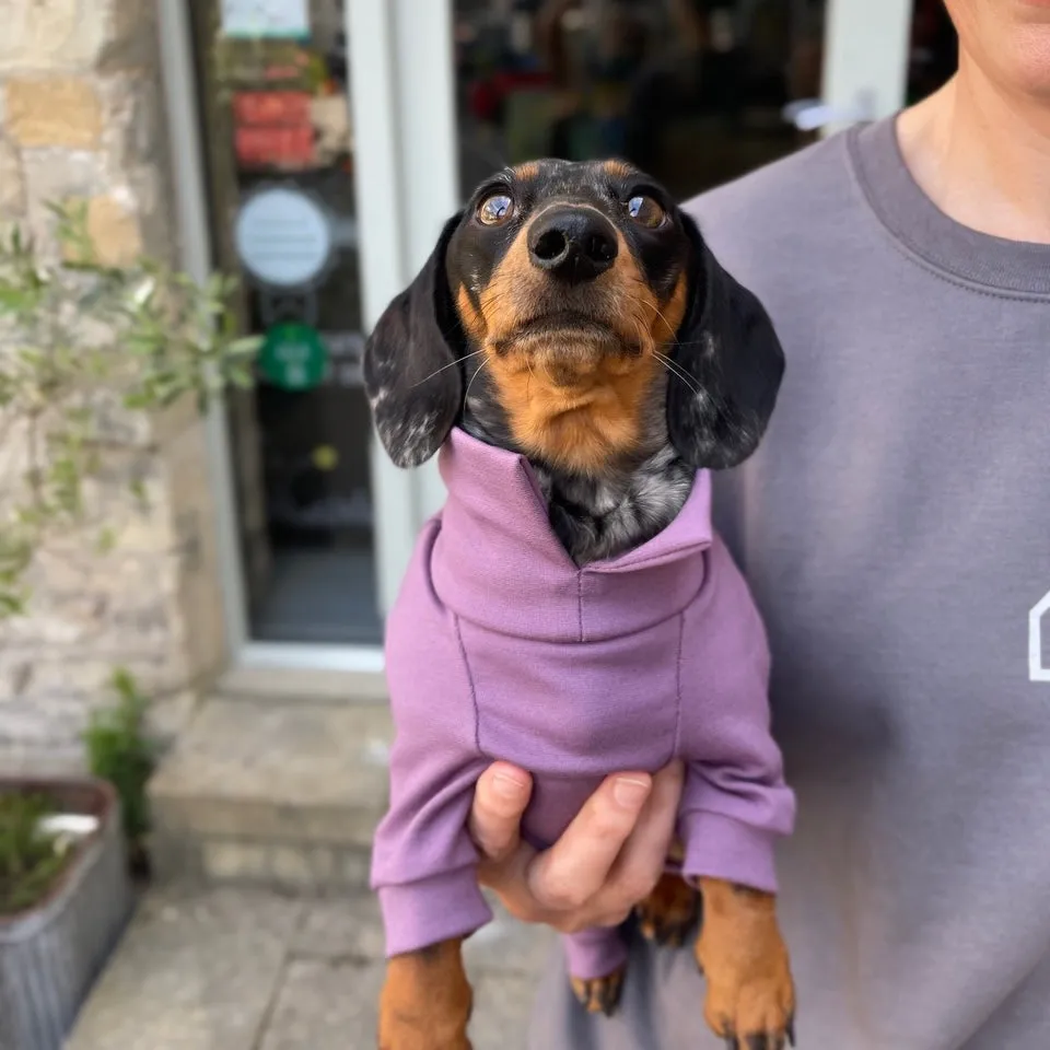 Dachshund Summer Suits with 4 Legs