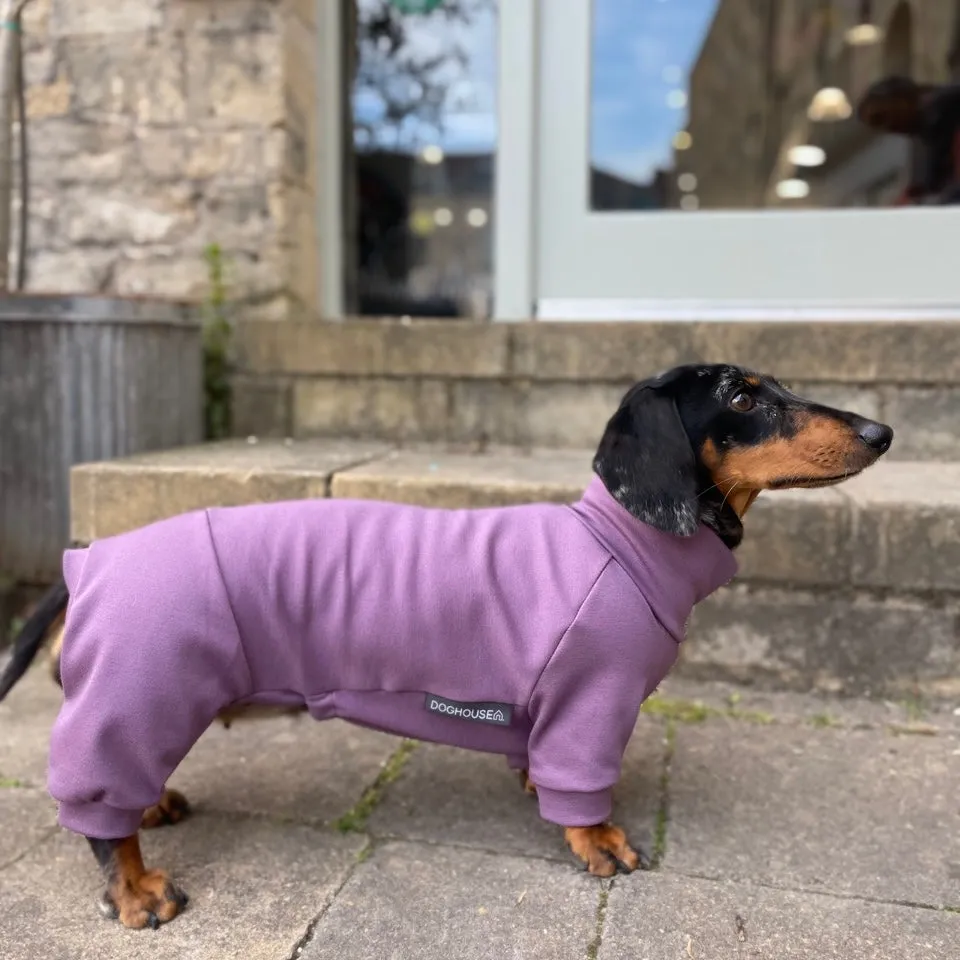 Dachshund Summer Suits with 4 Legs