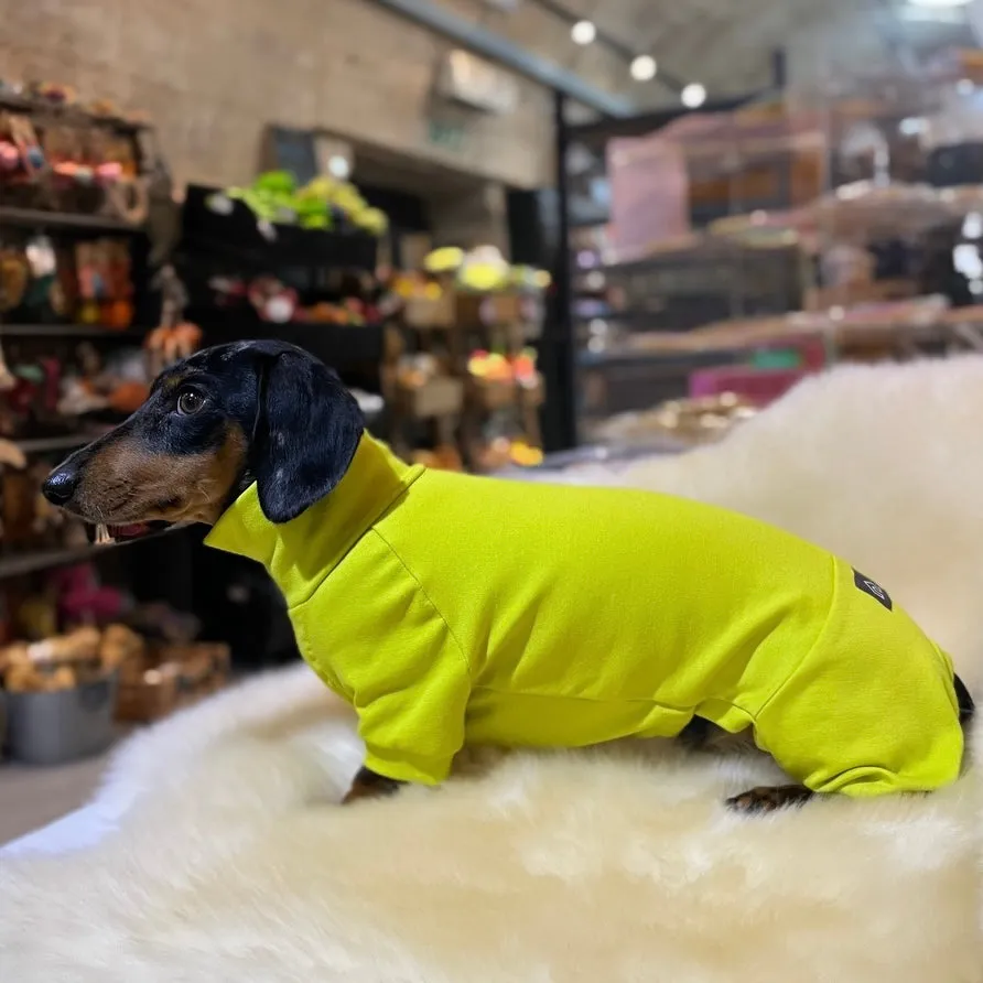 Dachshund Summer Suits with 4 Legs