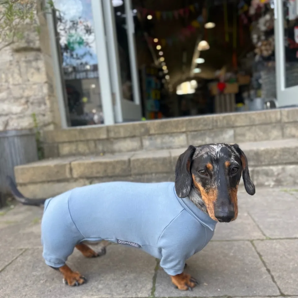 Dachshund Summer Suits with 4 Legs