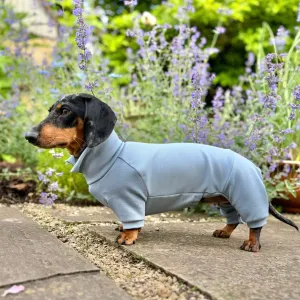 Dachshund Summer Suits with 4 Legs