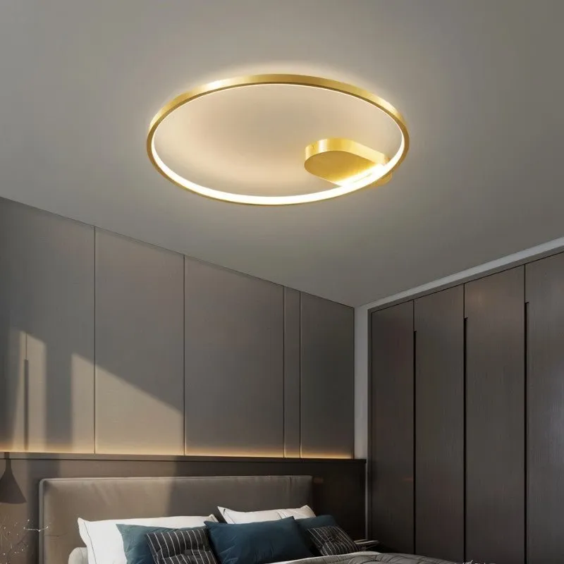 Monel Ceiling Light