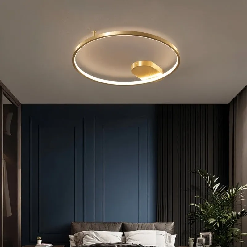 Monel Ceiling Light