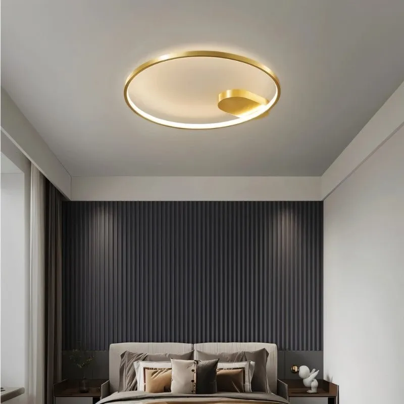 Monel Ceiling Light